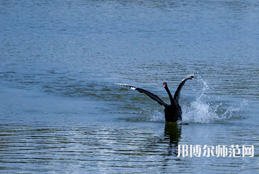 浙江師范大學2023年怎么樣、好不好