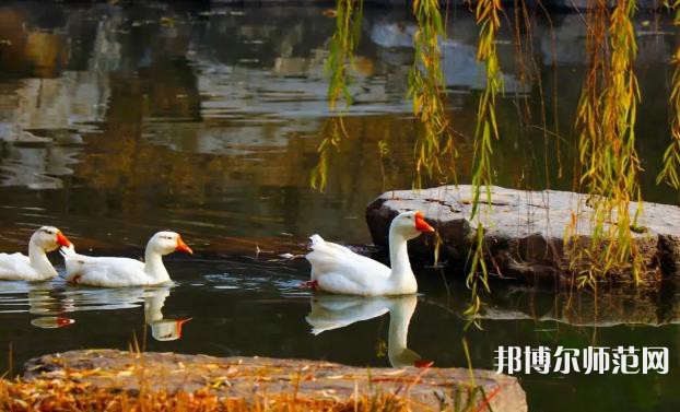 山東財(cái)經(jīng)師范大學(xué)萊蕪校區(qū)2023年報(bào)名條件、招生要求、招生對(duì)象 