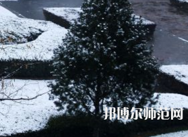 焦作師范高等?？茖W(xué)校2023年報名條件、招生要求、招生對象