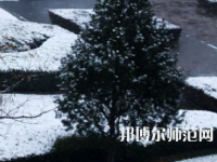 焦作師范高等?？茖W(xué)校2023年報(bào)名條件、招生要求、招生對(duì)象
