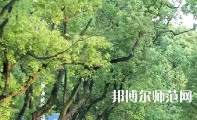 湖南理工師范學(xué)院南湖學(xué)院2023年報名條件、招生要求、招生對象