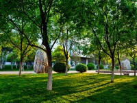 山東財(cái)經(jīng)師范大學(xué)圣井校區(qū)2023年怎么樣、好不好