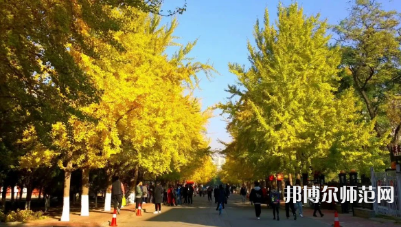 遼寧大學(xué)師范學(xué)院崇山校區(qū)2023年報名條件、招生要求、招生對象
