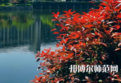 南華大學(xué)船山師范學(xué)院雨母校區(qū)2023年報名條件、招生要求、招生對象