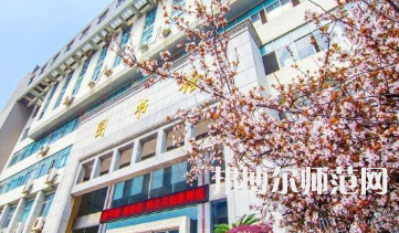 南華師范大學(xué)雨母校區(qū)2023年報(bào)名條件、招生要求、招生對(duì)象