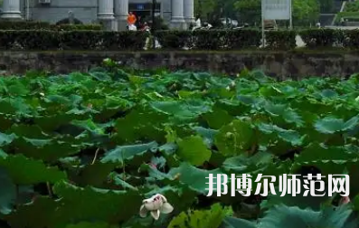 南華師范大學(xué)紅湘校區(qū)2023年報名條件、招生要求、招生對象