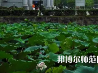 南華師范大學(xué)紅湘校區(qū)2023年報名條件、招生要求、招生對象