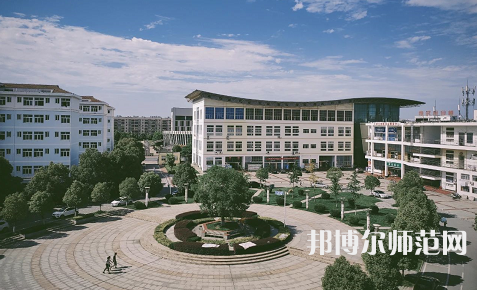 湖北工程學院新技術(shù)師范學院2023年有哪些專業(yè)