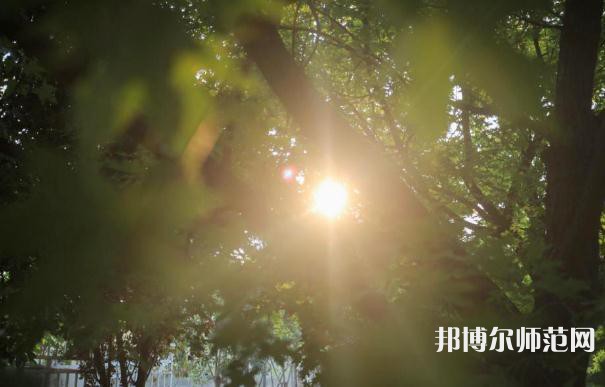 咸陽職業(yè)技術(shù)師范學院2023年報名條件、招生要求、招生對象