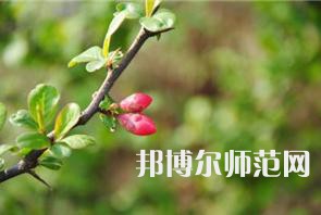 西安幼兒師范職業(yè)學(xué)校2023年學(xué)費(fèi)、收費(fèi)多少