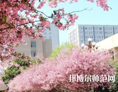中國礦業(yè)師范大學(xué)徐海學(xué)院2023年報(bào)名條件、招生要求、招生對(duì)象