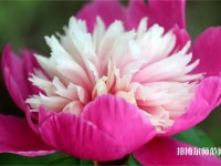 海南師范大學(xué)2023年報(bào)名條件、招生要求、招生對(duì)象