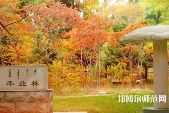 內(nèi)蒙古大學(xué)師范學(xué)院滿洲里學(xué)院2023年怎么樣、好不好