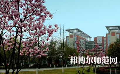長(zhǎng)江師范學(xué)院2023年報(bào)名條件、招生要求、招生對(duì)象 