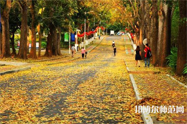 海南大學(xué)師范學(xué)院海甸校區(qū)2023年報(bào)名條件、招生要求、招生對(duì)象 