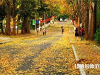 海南大學(xué)師范學(xué)院海甸校區(qū)2023年報(bào)名條件、招生要求、招生對(duì)象