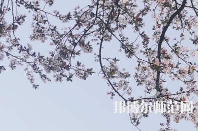 湖南第一師范學(xué)院城南書院校區(qū)2023年學(xué)費(fèi)、收費(fèi)多少