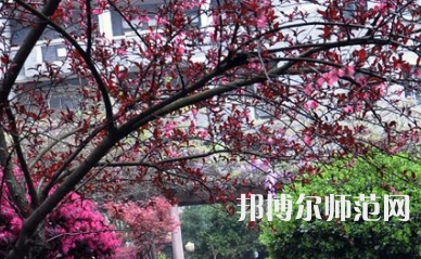 湖南第一師范學(xué)院城南書院校區(qū)2023年怎么樣、好不好