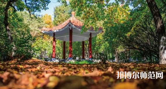 黑龍江師范大學(xué)2023年報名條件、招生要求、招生對象 
