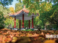 黑龍江師范大學2023年報名條件、招生要求、招生對象