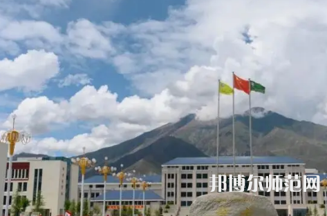 拉薩師范高等?？茖W(xué)校2023年招生代碼