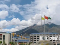 拉薩師范高等?？茖W(xué)校2023年招生代碼