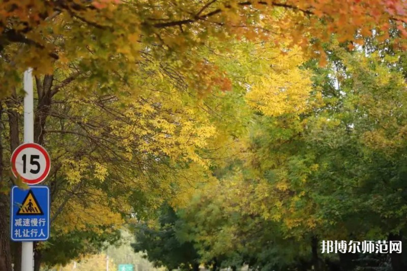 濟南幼兒師范高等專科學校2023年有哪些專業(yè)