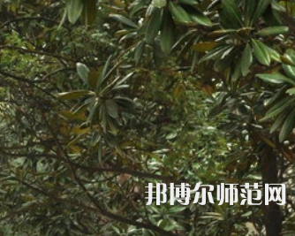 湖南師范大學(xué)樹達(dá)學(xué)院2023年學(xué)費(fèi)、收費(fèi)多少