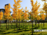 瀘州幼師職業(yè)技術(shù)學(xué)校2023年學(xué)費(fèi)、收費(fèi)多少