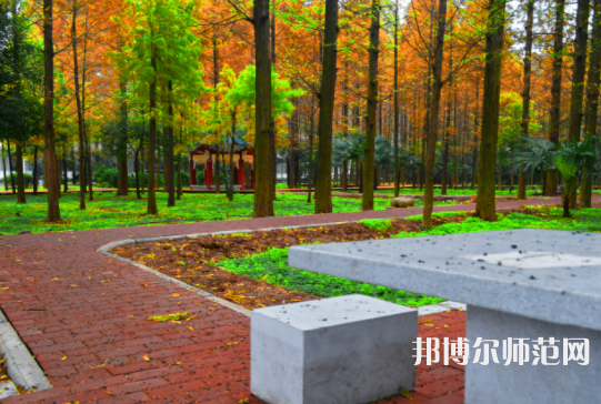 長(zhǎng)江大學(xué)文理學(xué)院2023年怎么樣、好不好
