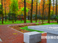 長江大學(xué)文理學(xué)院2023年怎么樣、好不好