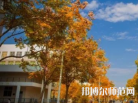 南京師范大學(xué)泰州學(xué)院2023年報(bào)名條件、招生要求、招生對(duì)象