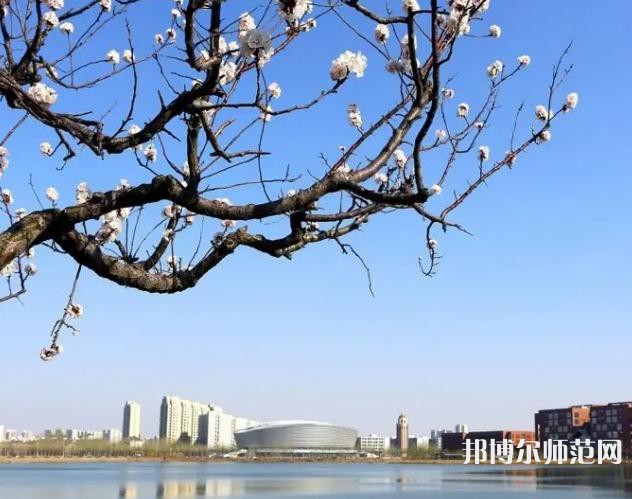 天津理工師范大學(xué)2023年報名條件、招生要求、招生對象