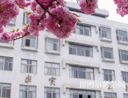 淮陰師范學(xué)院2023年報(bào)名條件、招生要求、招生對(duì)象
