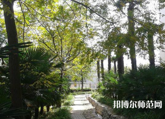 西北大學(xué)師范學(xué)院桃園校區(qū)2023年怎么樣、好不好