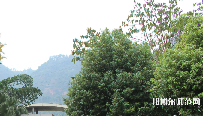 自貢大安幼師職業(yè)技術(shù)學(xué)校2023年學(xué)費(fèi)、收費(fèi)多少