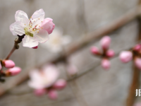 成都錦城師范學(xué)院2023年學(xué)費(fèi)、收費(fèi)多少