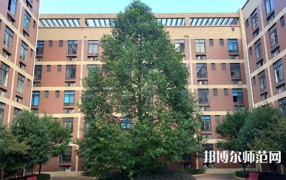 四川師范大學(xué)成都學(xué)院眉山校區(qū)2023年怎么樣、好不好