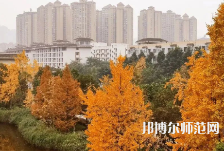 雅安職業(yè)技術(shù)師范學(xué)院2023年怎么樣、好不好