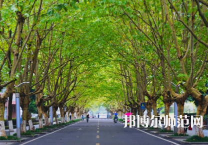 四川農(nóng)業(yè)師范大學(xué)雅安校區(qū)2023年怎么樣、好不好