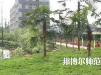 2023年瀘州天宇幼師中等職業(yè)技術(shù)學(xué)校報名條件、招生對象