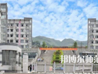 2023年重慶奉節(jié)師范學(xué)校汽車(chē)制造與裝配技術(shù)專(zhuān)業(yè)介紹