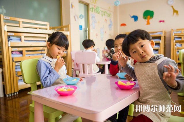 延安公辦教育技術(shù)學學校有哪些 延安公辦教育技術(shù)學學校名單一覽表