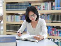 成都洞子口職業(yè)幼兒師范高級中學(xué)介紹、地址