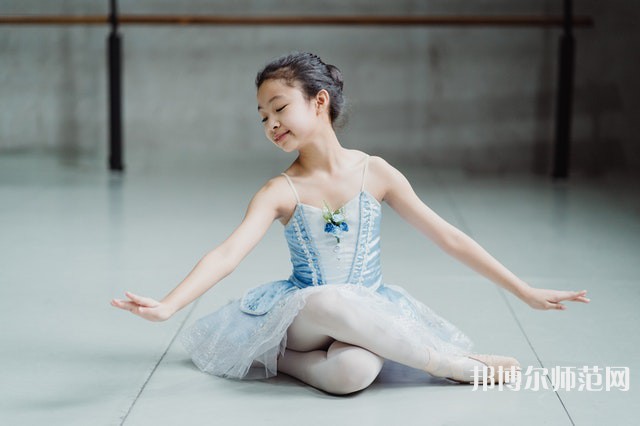 南充電子工業(yè)幼兒師范學校介紹、地址
