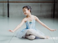 南充電子工業(yè)幼兒師范學校介紹、地址